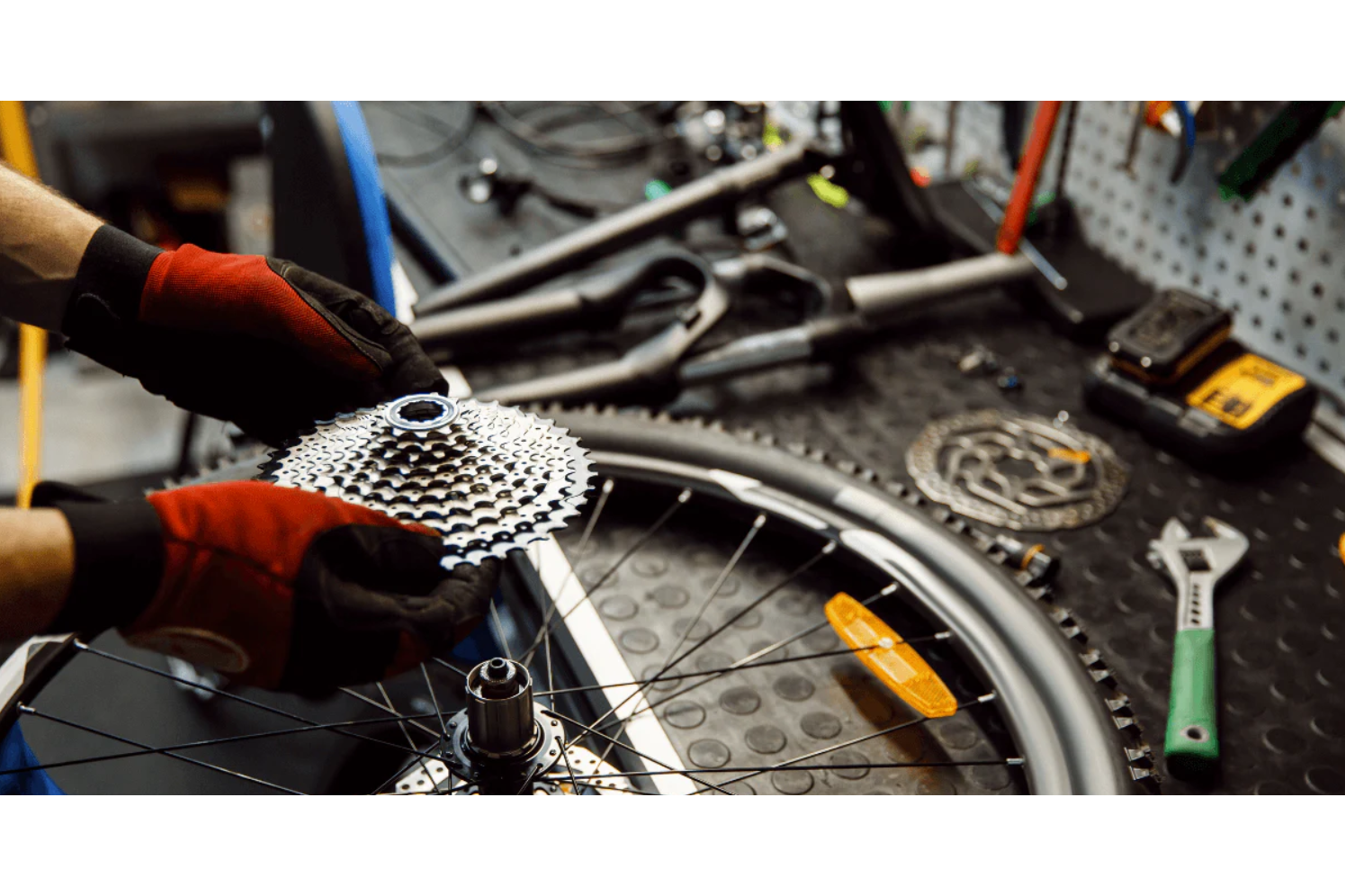 Bicycle Cassettes and Cogs tagged 8 speed Bike Blvd