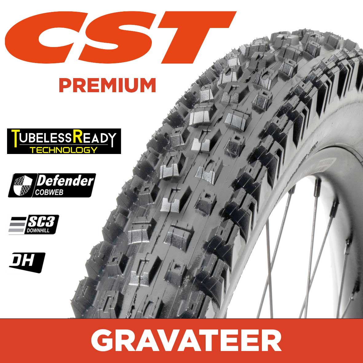 Cst Gravateer 29X2.5 Dh 3C Tr Mountain Bike Tyres