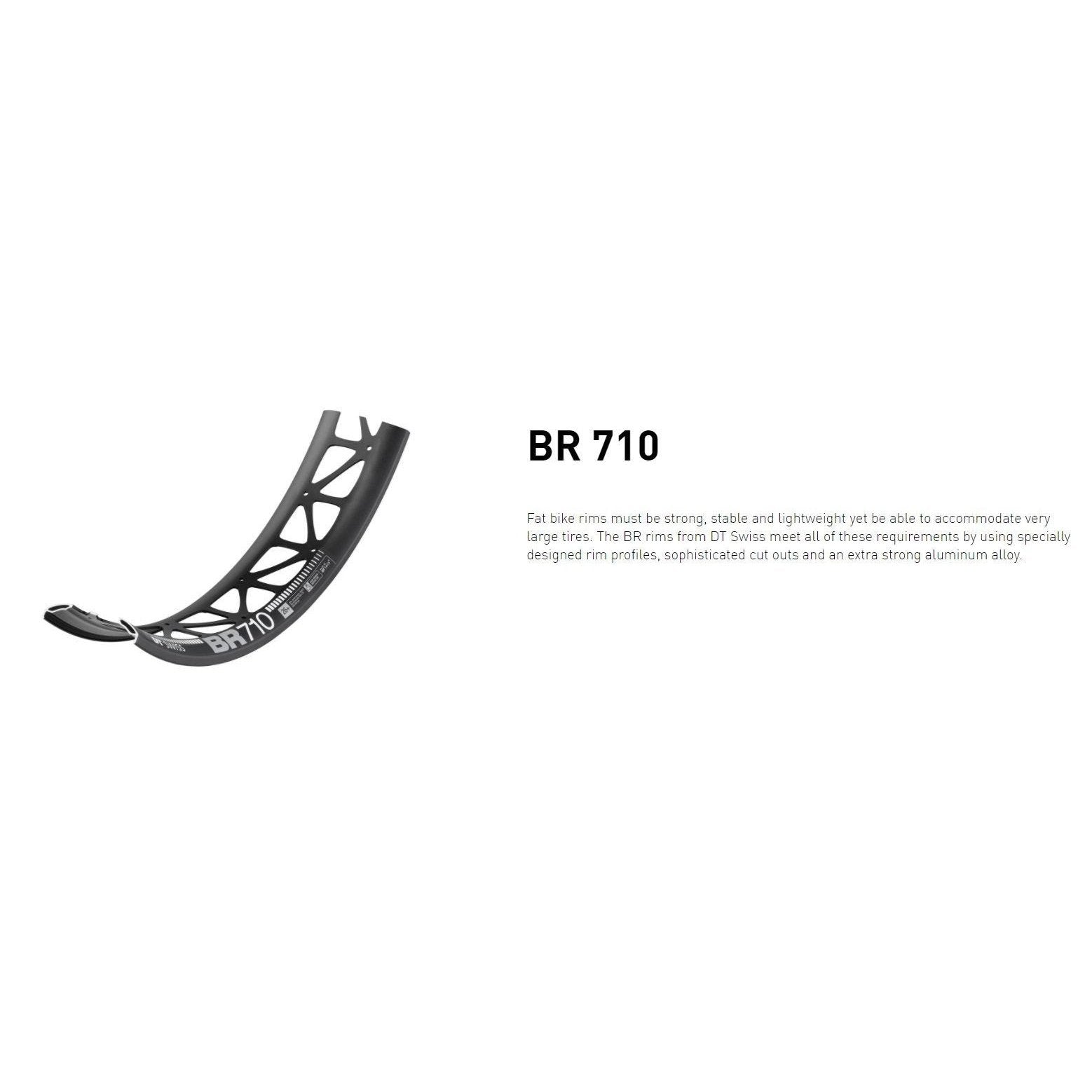 Dt Swiss RIM BR710 26 32 Fatbike!