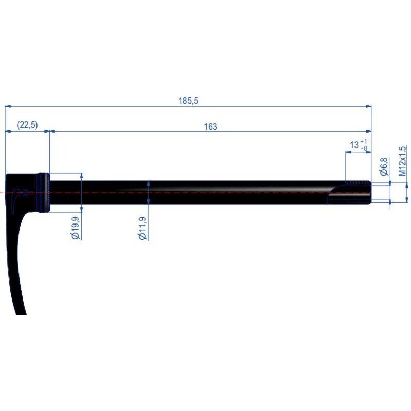 Dt Swiss RWS 12 142 163mm long 12x1.5 plugin