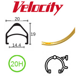 Velocity Aerohead 700c Rim - Bright Gold, 20H, Presta Valve, Rim Brake Compatible