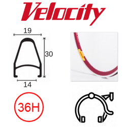 Velocity Deep V 700c Rim - Red, 36H, Presta Valve, Rim Brake Compatible