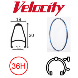 Velocity Deep V 700c Rim - Teal Powder Coat - 36H - MSW