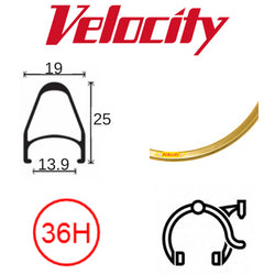 Velocity Fusion 700c Rim - 36H, Presta Valve, Rim Brake, Bright Gold